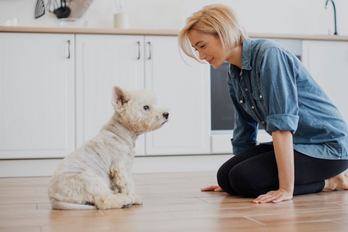 犬と女性