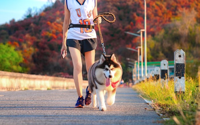 犬とジョギングする女性