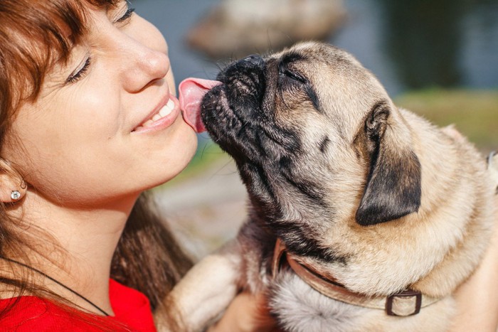 女性の顔を舐める犬