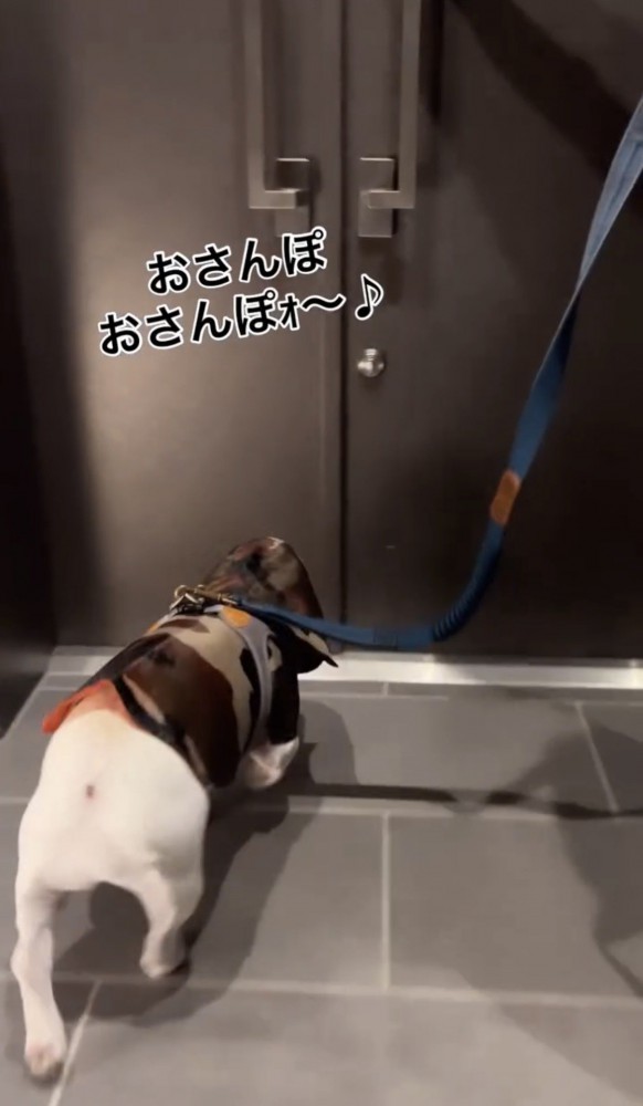 玄関前でリードを引かれながら進む犬