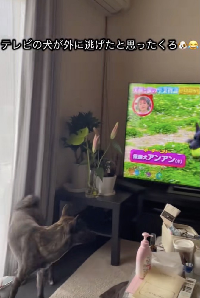 「いなかったなぁ」