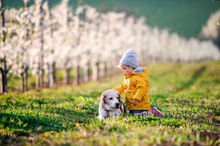 犬と子ども