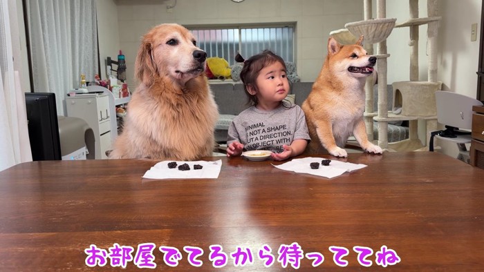 「待ってね」