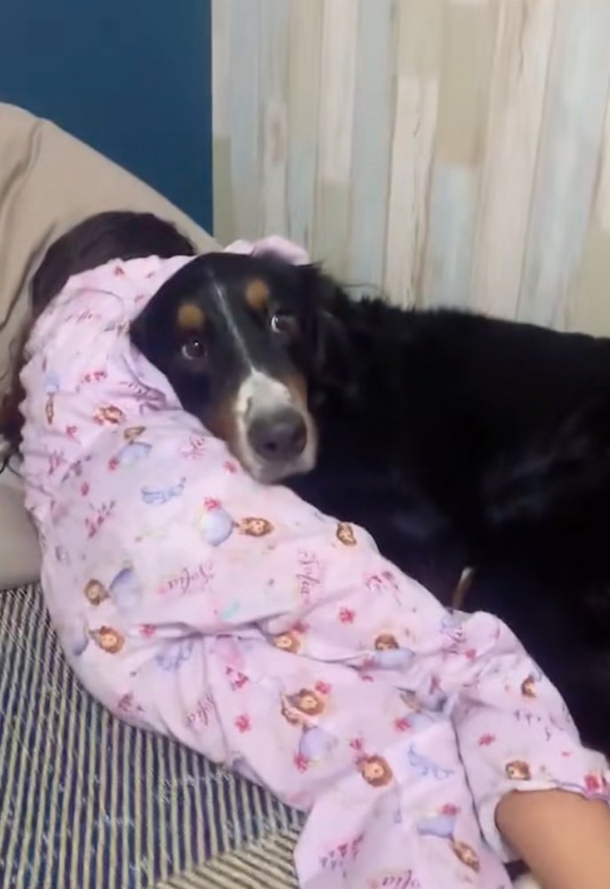 抱きつかれる超大型犬