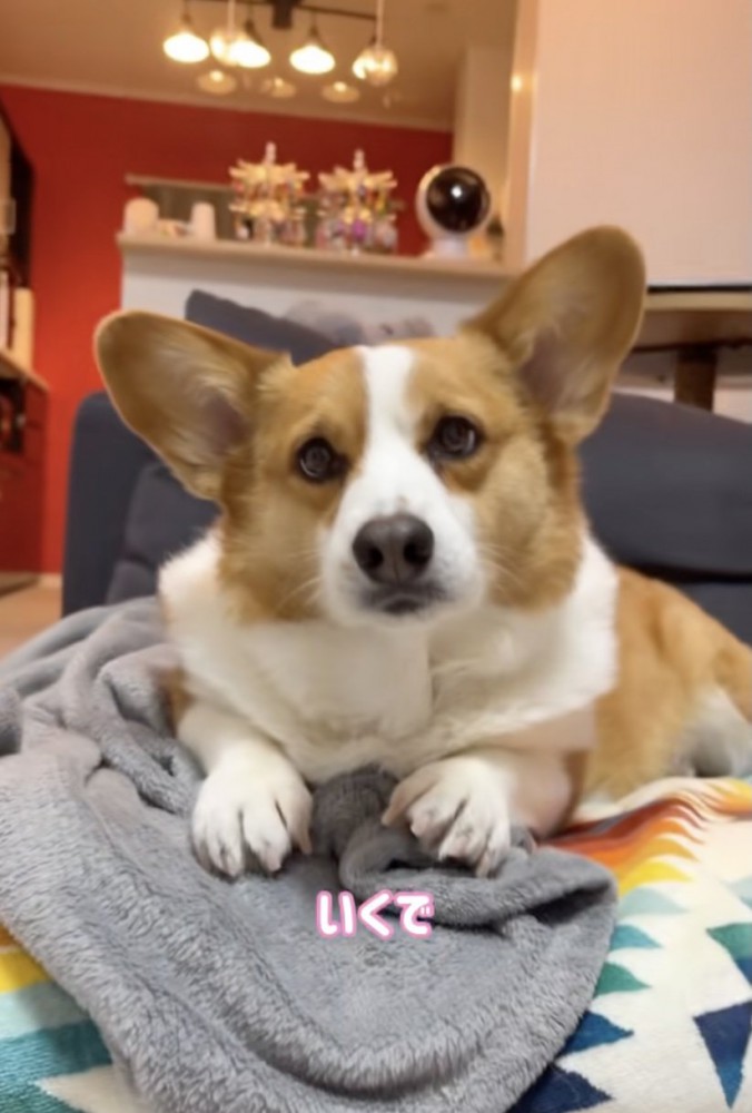 ボール遊び、スタート！