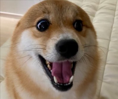 丸すぎる