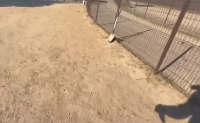 全力疾走するパパの影が…