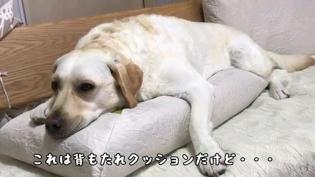 これは～字幕