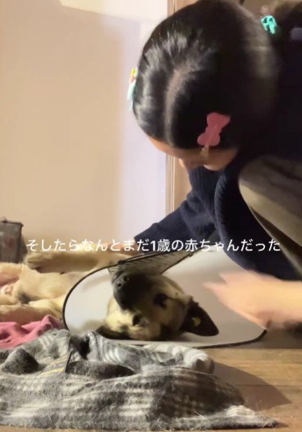 1歳の子犬さんでした