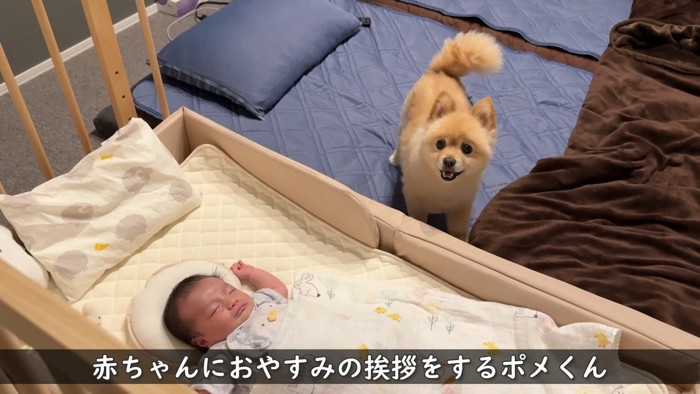 「おやすみ~。また明日ね♡」