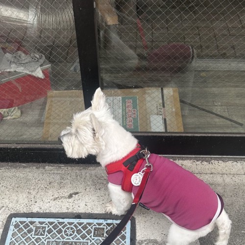 ちーちゃん