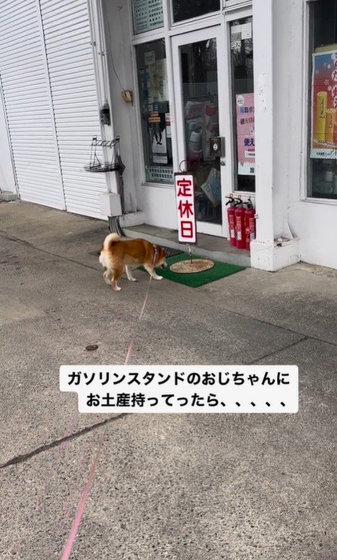 ガソリンスタンドを訪れたハナちゃん6