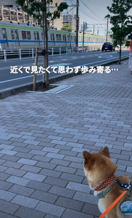 お気に入りの場所で待機