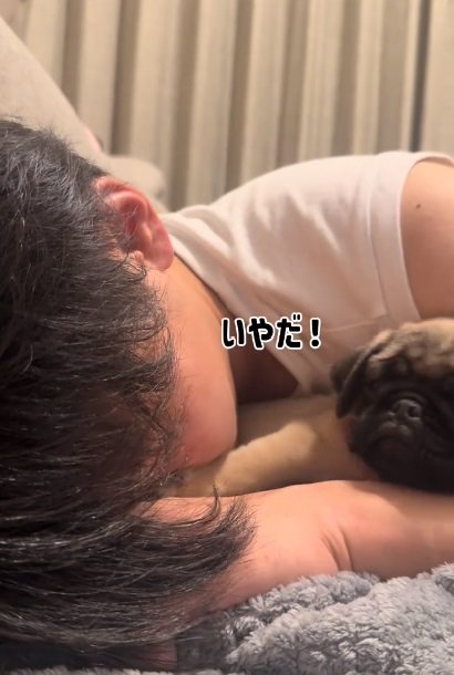 パパを押すうめちゃん