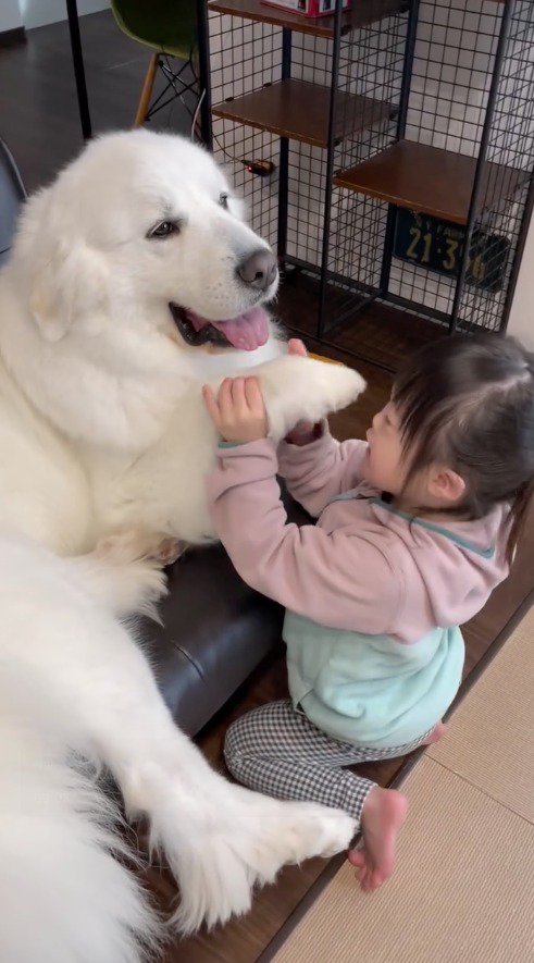 犬の前足を両手で持ち上げる男の子