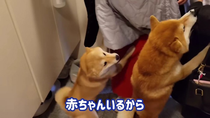 お友達と赤ちゃんが来訪