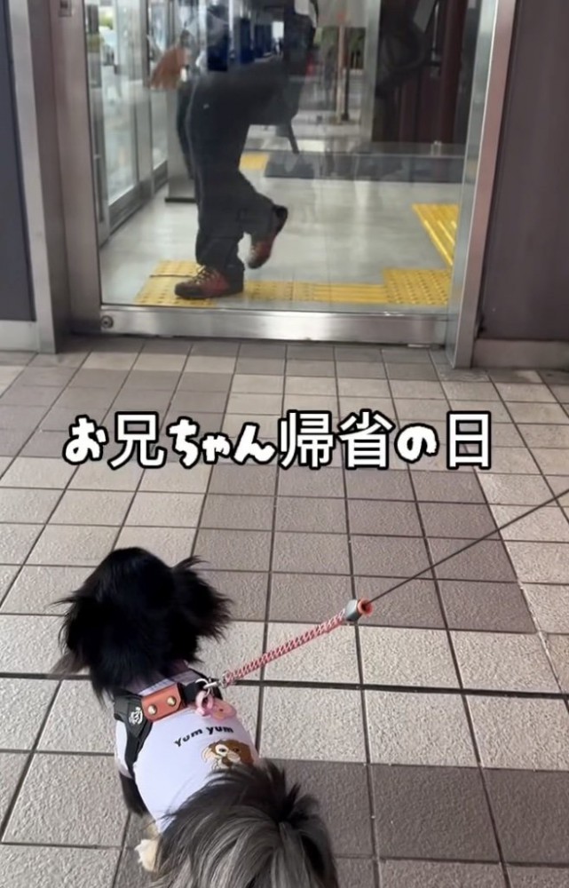 「お兄ちゃんどこ？」