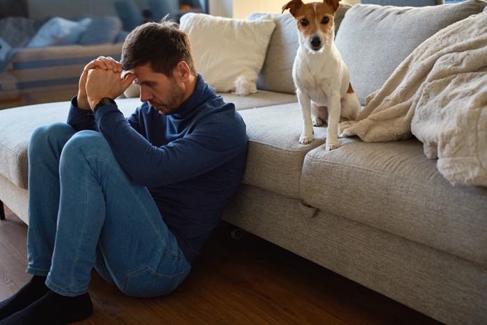 頭を抱える男性、ソファーに犬