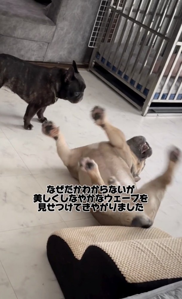 しなやか