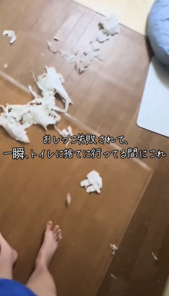 足元に紙が散乱した状態