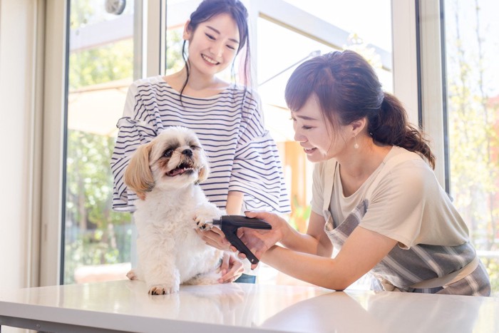 爪切り中の犬とお客さん