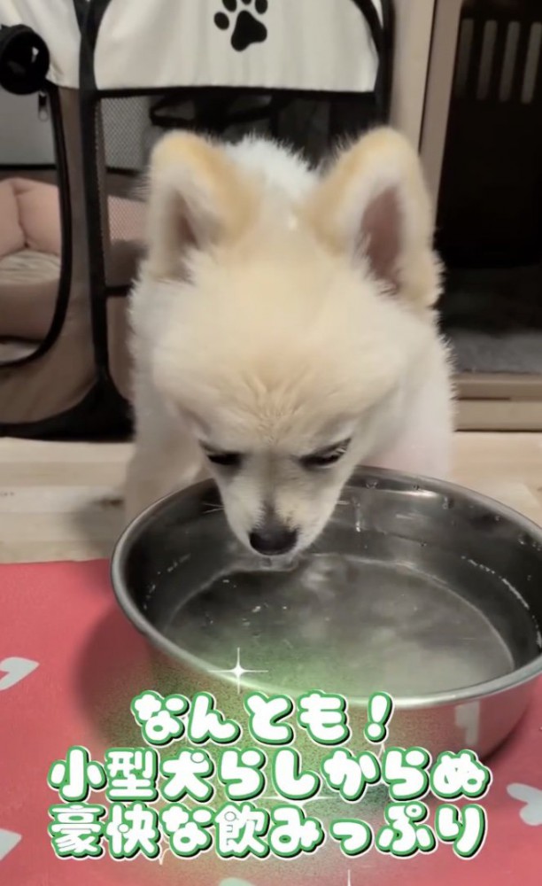 完全マスター！！