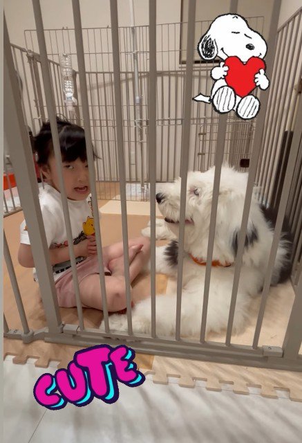 本当のきょうだいのよう