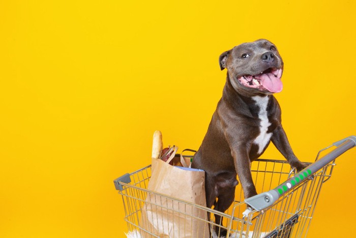 ショップカートに入る犬