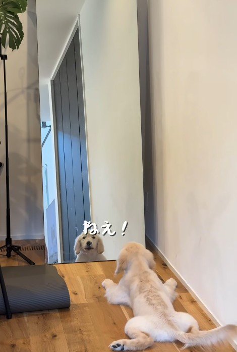 鏡に映る自分とおしゃべり
