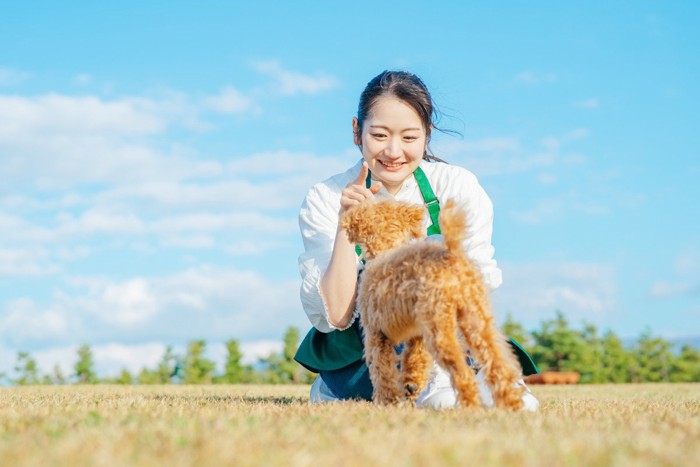 犬と遊ぶ女性