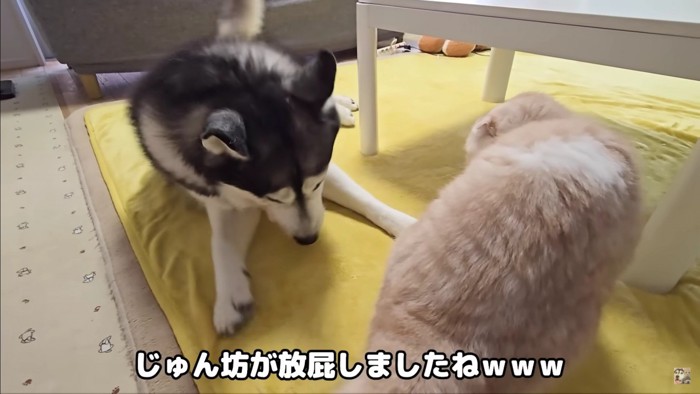 目の前でオナラ！！