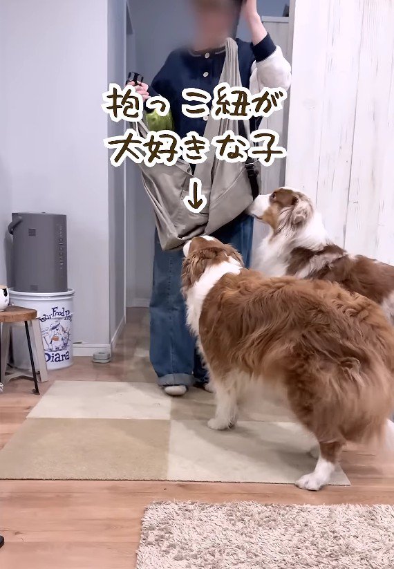 抱っこ紐を出すと…