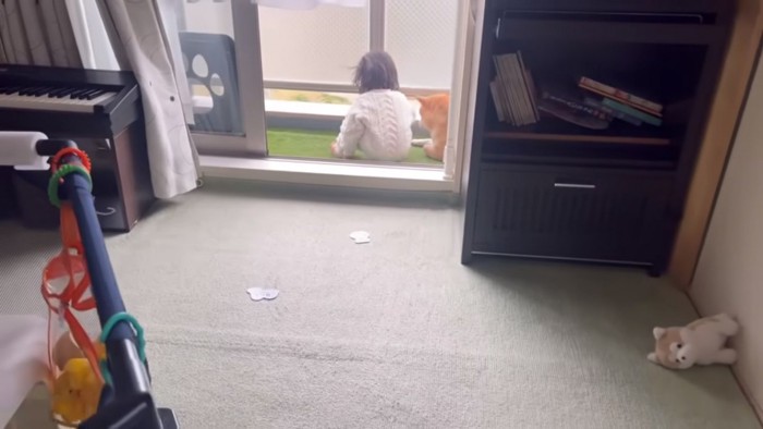 ベランダにいるひよりちゃんとわらびちゃん