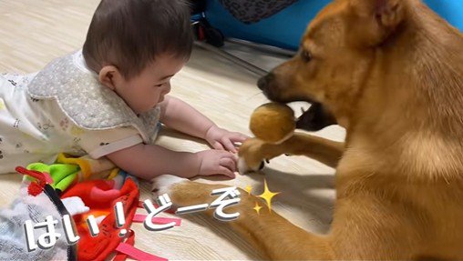 そらちゃんと赤ちゃん3