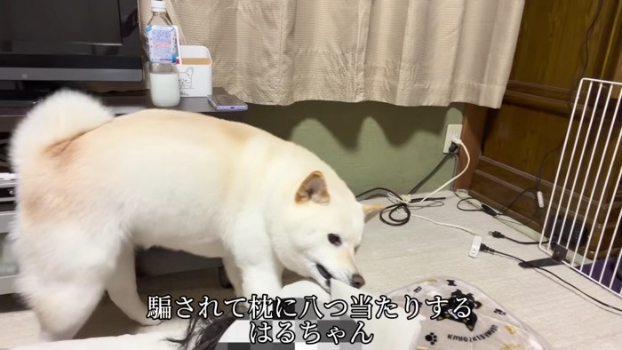 「心配したじゃない!」
