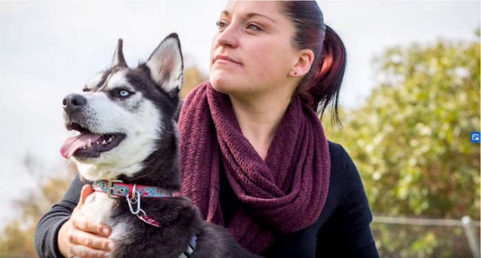 ハスキー犬と女性