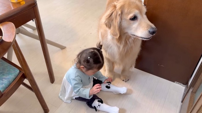 わんわんの靴下を履いて…