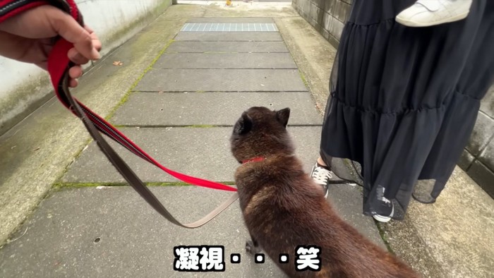 再び警戒モードに!