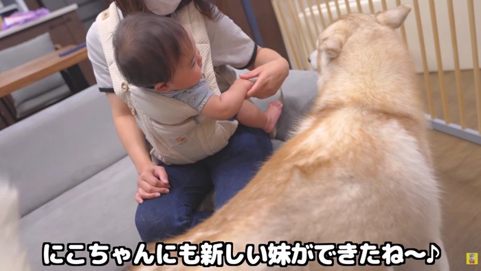 赤ちゃんが生まれたよ！！