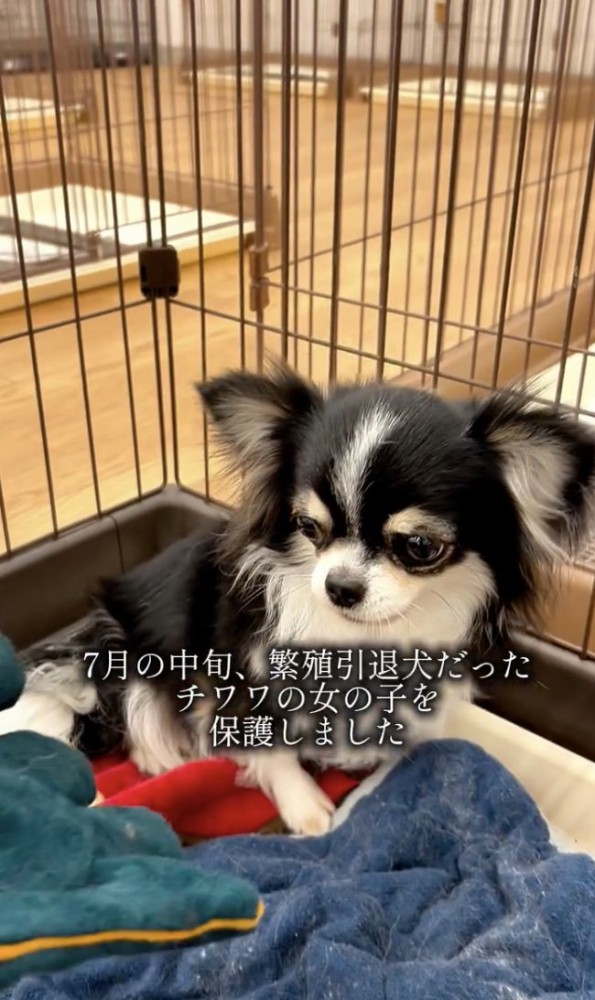 怯えた目…