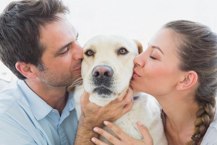 男女にキスされる犬