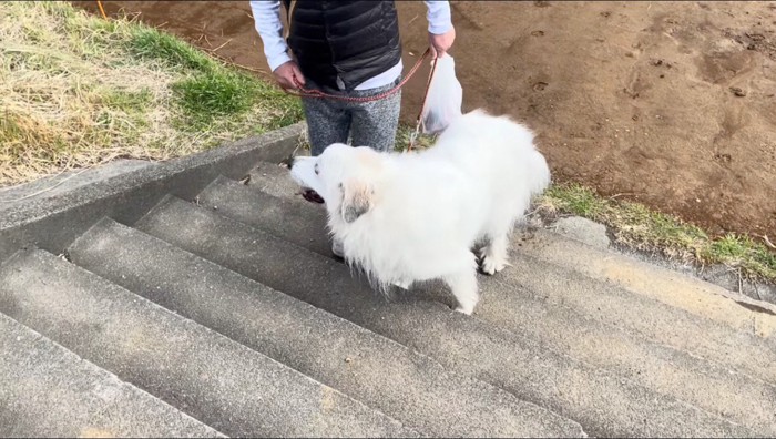 犬のリードを持つ男性