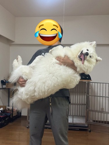 約8ヶ月