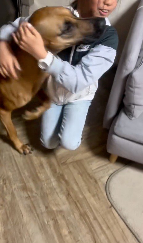 女の子に体をすり寄せる茶色い犬