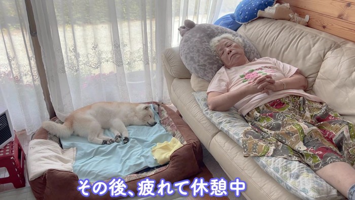 今度はあいちゃんと一休み