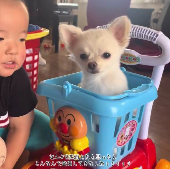 困惑の表情にクスッ