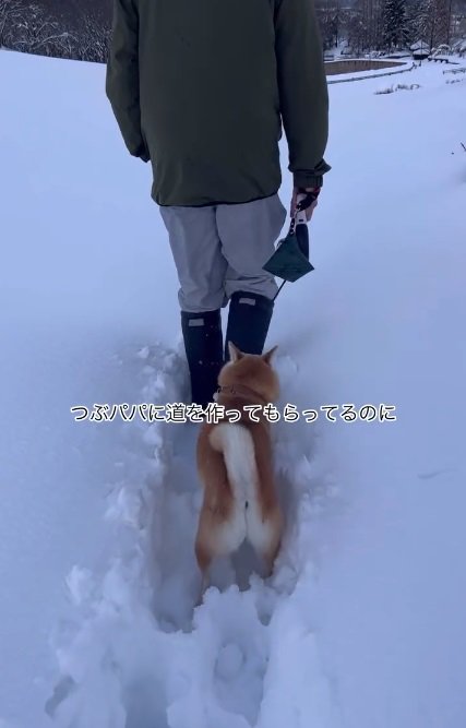 雪道を作るパパ