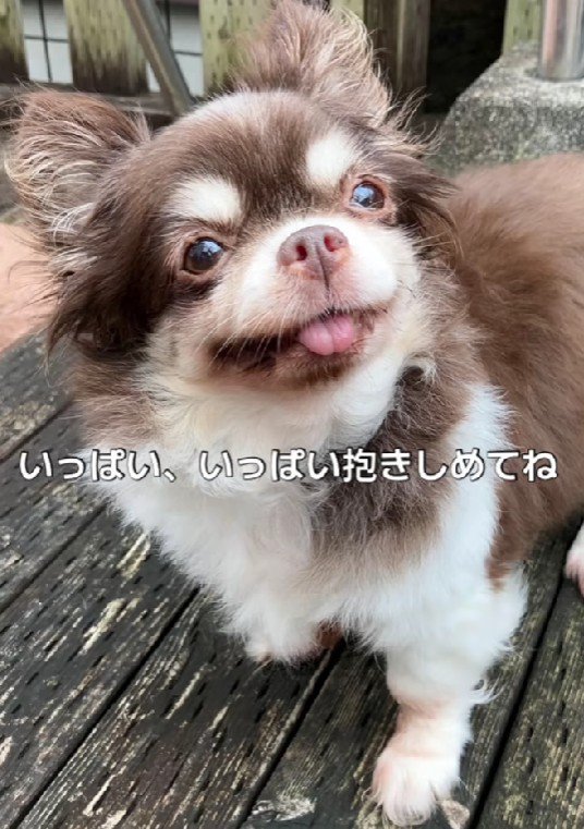 これからは穏やかに過ごしてね