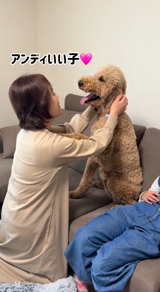 犬を優しく撫でてあげるおばあちゃん