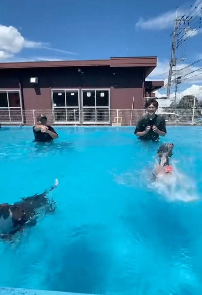 1匹がゴール